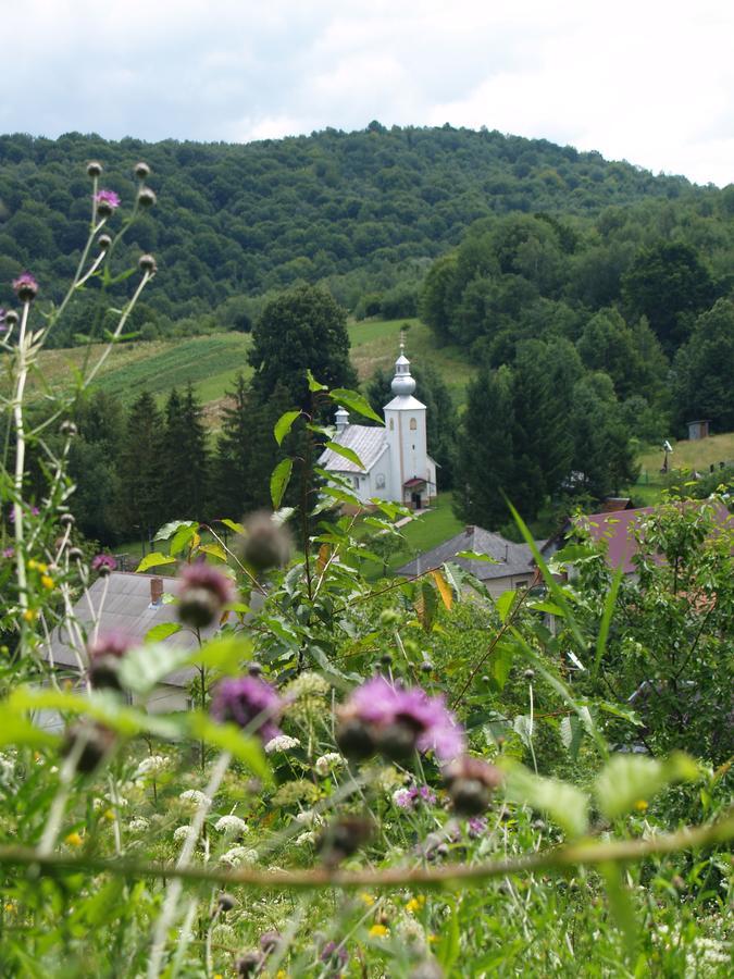 Ecolodge Novoselitsa  외부 사진