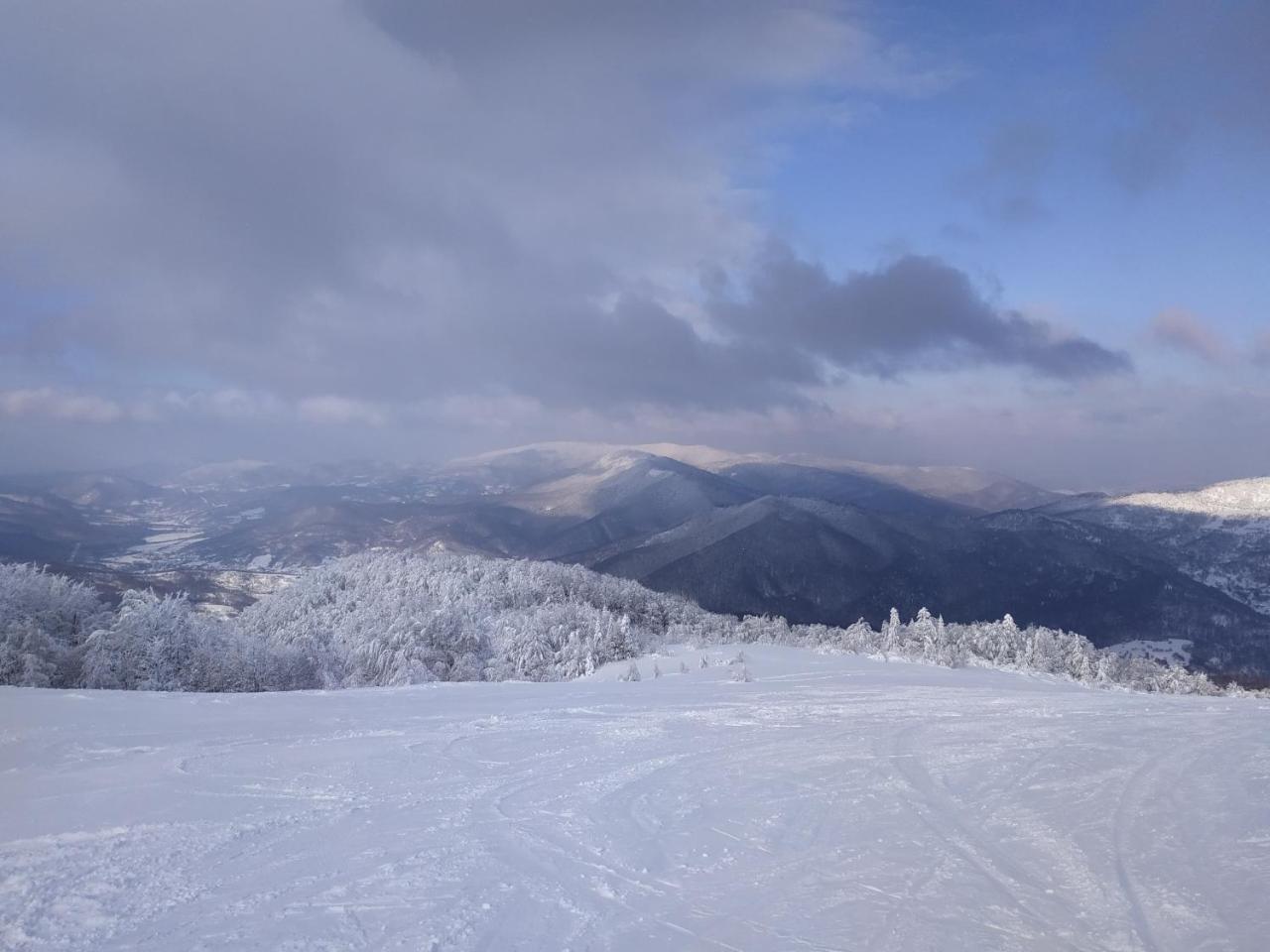 Ecolodge Novoselitsa  외부 사진